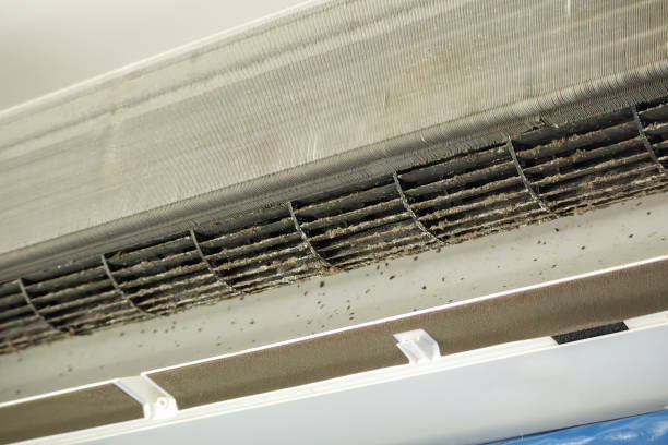 Best Air Duct Cleaning Cost  in Alexandria, KY